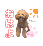 coronmalu♡（個別スタンプ：11）