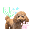 coronmalu♡（個別スタンプ：14）