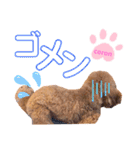 coronmalu♡（個別スタンプ：15）