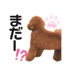 coronmalu♡（個別スタンプ：21）