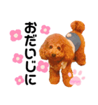 coronmalu♡（個別スタンプ：22）