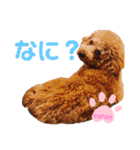coronmalu♡（個別スタンプ：23）
