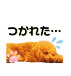 coronmalu♡（個別スタンプ：25）