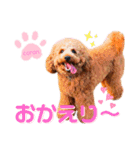 coronmalu♡（個別スタンプ：26）