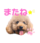 coronmalu♡（個別スタンプ：28）