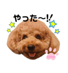 coronmalu♡（個別スタンプ：38）