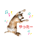 虎丸スタンプ 2（個別スタンプ：11）
