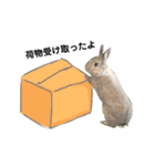 【日常用】もっちりうさぎのぺぺ（個別スタンプ：15）