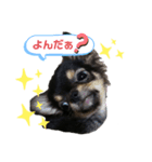 琥太 style（個別スタンプ：3）