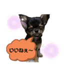 琥太 style（個別スタンプ：4）