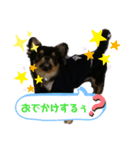 琥太 style（個別スタンプ：5）