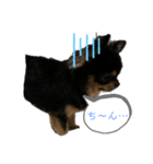 琥太 style（個別スタンプ：8）