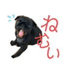 おもちとおはぎ第1弾（個別スタンプ：2）
