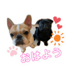 おもちとおはぎ第1弾（個別スタンプ：5）