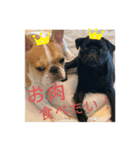 おもちとおはぎ第1弾（個別スタンプ：9）