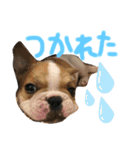 おもちとおはぎ第1弾（個別スタンプ：12）