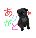 おもちとおはぎ第1弾（個別スタンプ：13）