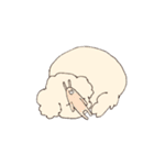 ふわもこマルプーのスタンプ（個別スタンプ：3）
