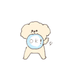 ふわもこマルプーのスタンプ（個別スタンプ：8）