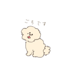 ふわもこマルプーのスタンプ（個別スタンプ：11）