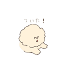 ふわもこマルプーのスタンプ（個別スタンプ：15）