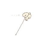 ふわもこマルプーのスタンプ（個別スタンプ：16）