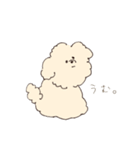 ふわもこマルプーのスタンプ（個別スタンプ：17）
