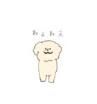 ふわもこマルプーのスタンプ（個別スタンプ：20）