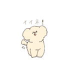 ふわもこマルプーのスタンプ（個別スタンプ：22）