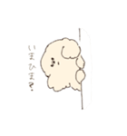 ふわもこマルプーのスタンプ（個別スタンプ：24）