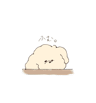 ふわもこマルプーのスタンプ（個別スタンプ：25）