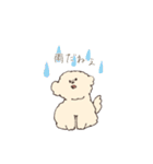 ふわもこマルプーのスタンプ（個別スタンプ：26）