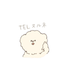 ふわもこマルプーのスタンプ（個別スタンプ：31）