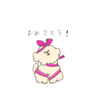 ふわもこマルプーのスタンプ（個別スタンプ：36）