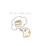 ふわもこマルプーのスタンプ（個別スタンプ：40）