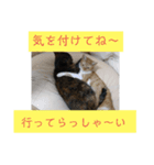RIN,momo, coco（個別スタンプ：7）