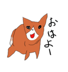 喜寿を迎えた田舎の柴犬（個別スタンプ：1）