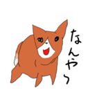 喜寿を迎えた田舎の柴犬（個別スタンプ：9）