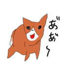 喜寿を迎えた田舎の柴犬（個別スタンプ：11）