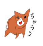 喜寿を迎えた田舎の柴犬（個別スタンプ：13）