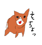 喜寿を迎えた田舎の柴犬（個別スタンプ：17）