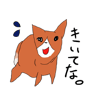 喜寿を迎えた田舎の柴犬（個別スタンプ：18）