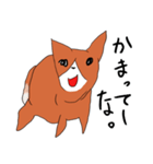 喜寿を迎えた田舎の柴犬（個別スタンプ：19）
