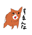 喜寿を迎えた田舎の柴犬（個別スタンプ：20）