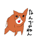 喜寿を迎えた田舎の柴犬（個別スタンプ：22）