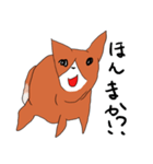 喜寿を迎えた田舎の柴犬（個別スタンプ：23）