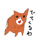 喜寿を迎えた田舎の柴犬（個別スタンプ：28）