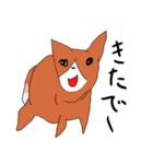 喜寿を迎えた田舎の柴犬（個別スタンプ：29）