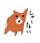 喜寿を迎えた田舎の柴犬（個別スタンプ：30）