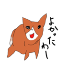 喜寿を迎えた田舎の柴犬（個別スタンプ：31）